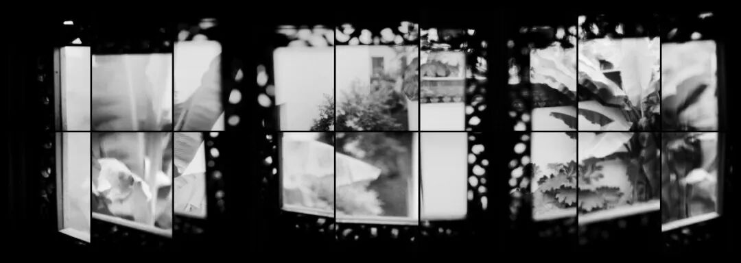 20260909_080211_004
