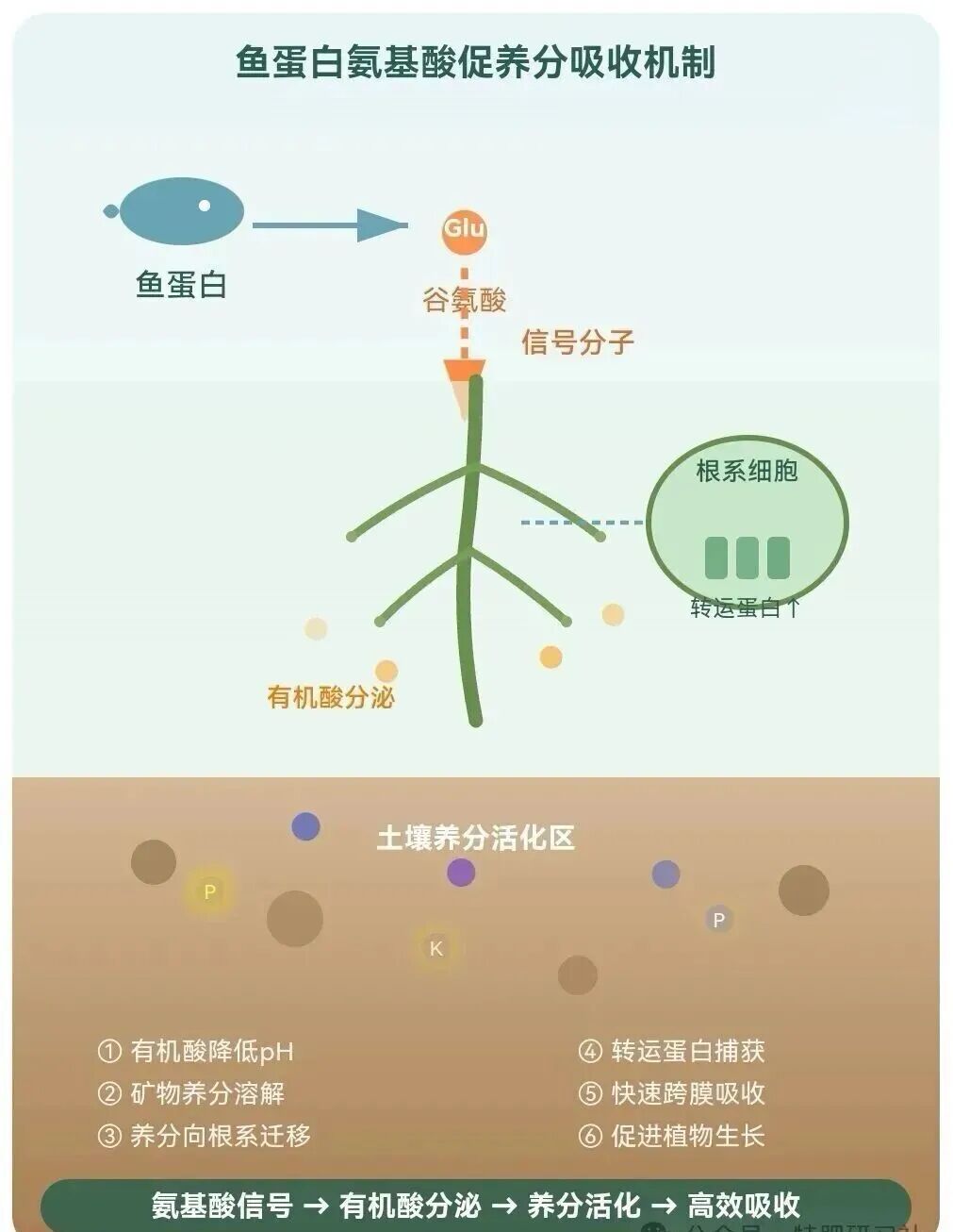 農(nóng)業(yè)應(yīng)用場景