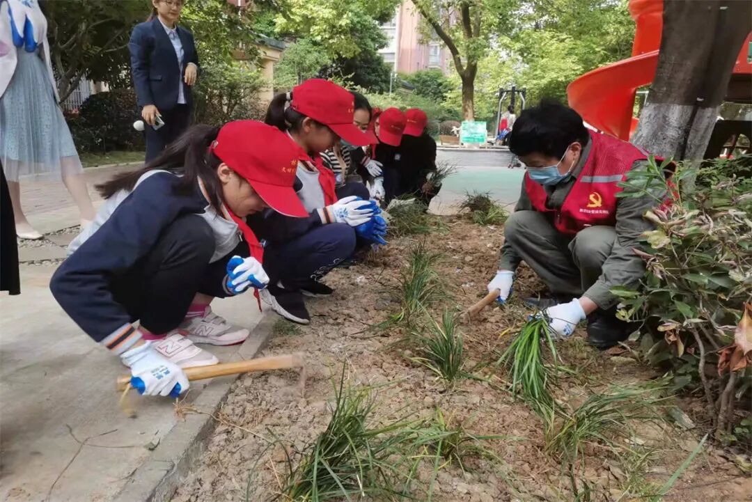 21绿植补种.jpg
