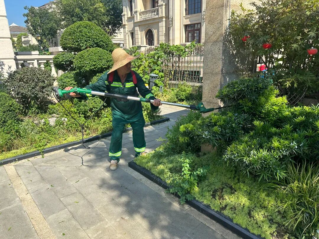 微信图片_20250611110734.jpg