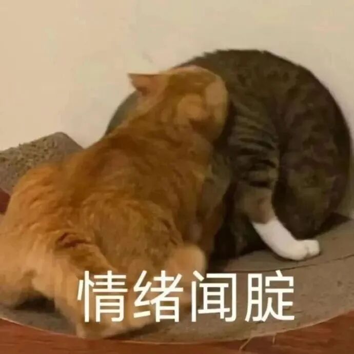 AED怎么自检豆腐渣？鱼腥味？颜色不对？这份白带自检攻略请收好！_https://www.jmylbn.com_新闻资讯_第5张