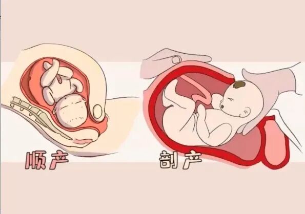 微信截图_20241128142414.png