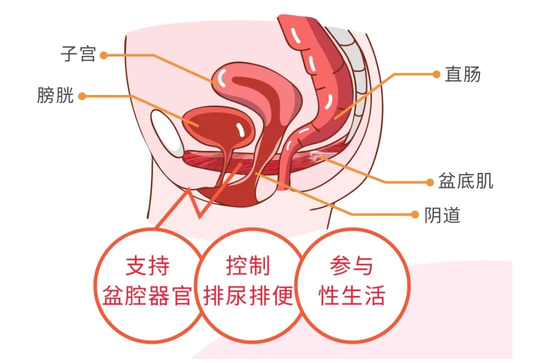 微信截图_20241003160909
