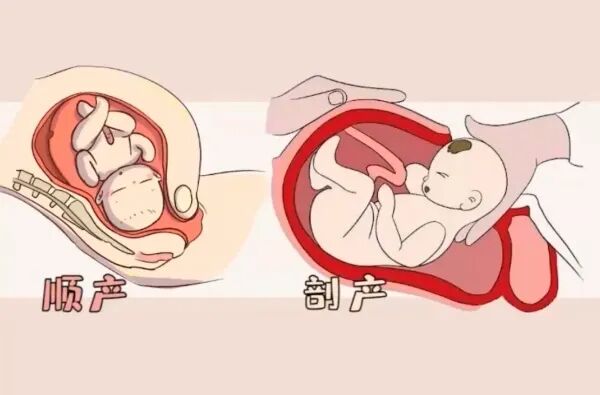 微信截图_20241128142414.png