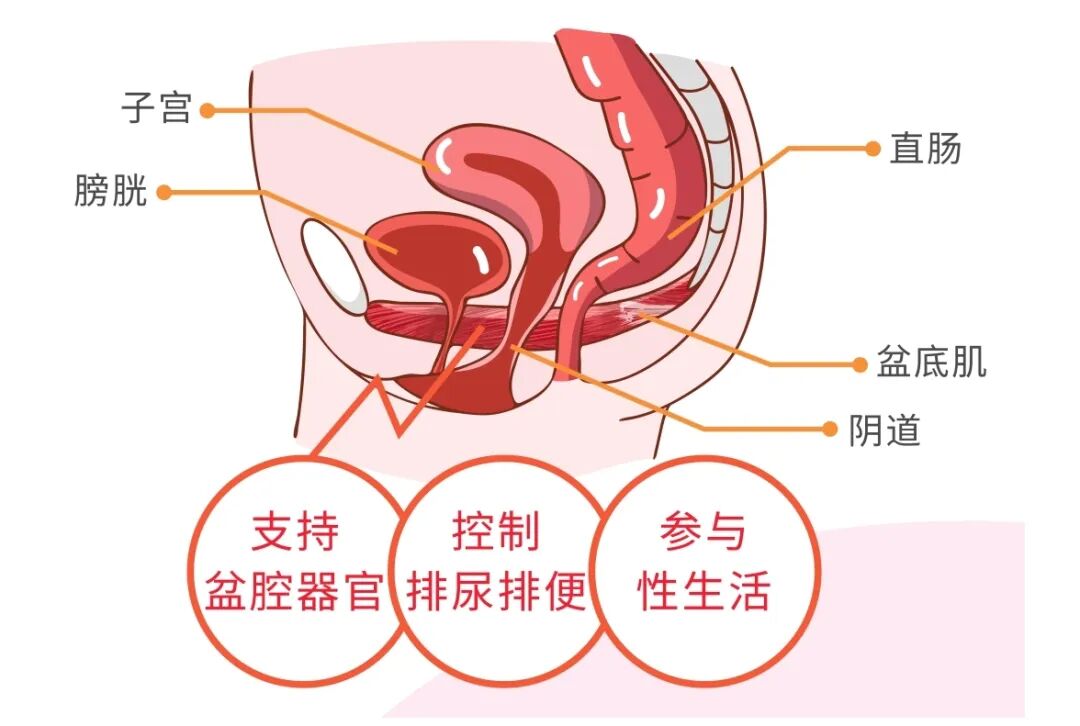 微信截图_20241116084813.png