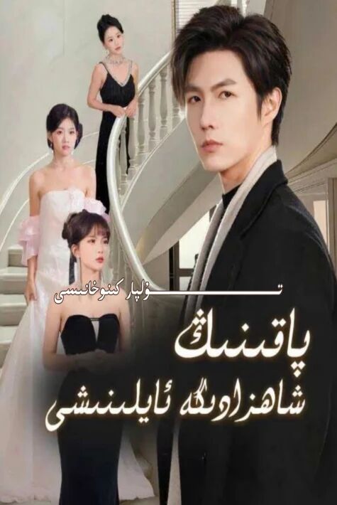 پاقىنىڭ شاھزادىگە ئايلىنىشى يېڭى تور تىياتىرى