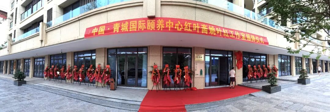 姚叶红工作室暨四川省传统文化促进会书画培训中心揭牌仪式在中国·青城国际颐养中心举行(图2)