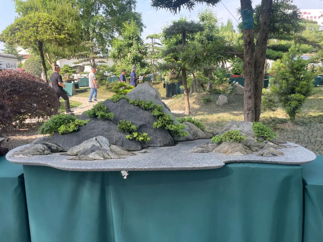 "李白诗意川派盆景艺术交流展"在江油隆重开幕(图12)