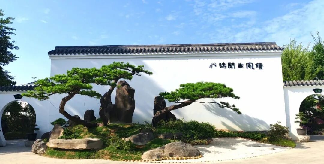 "李白诗意川派盆景艺术交流展"在江油隆重开幕(图4)