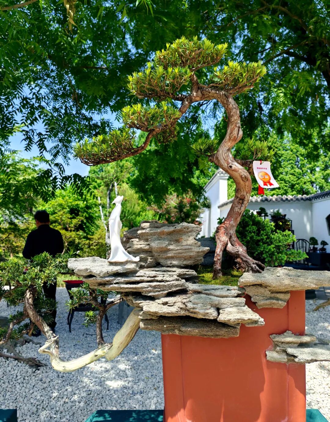 "李白诗意川派盆景艺术交流展"在江油隆重开幕(图7)