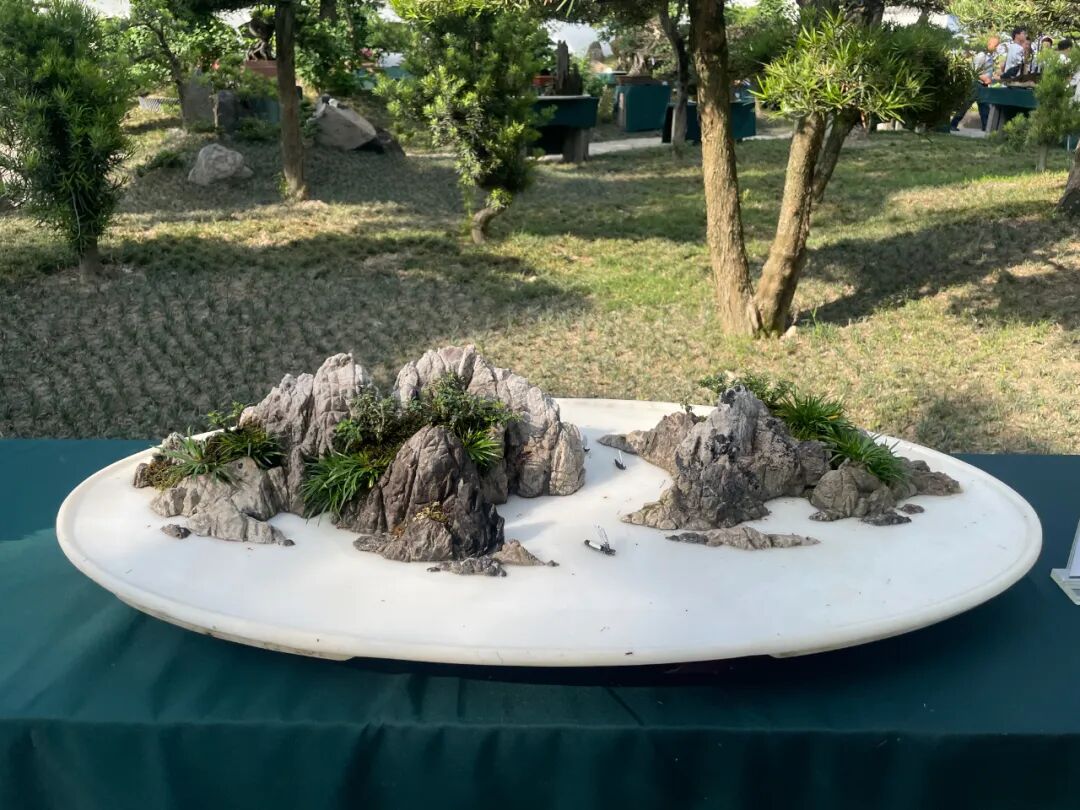 "李白诗意川派盆景艺术交流展"在江油隆重开幕(图11)
