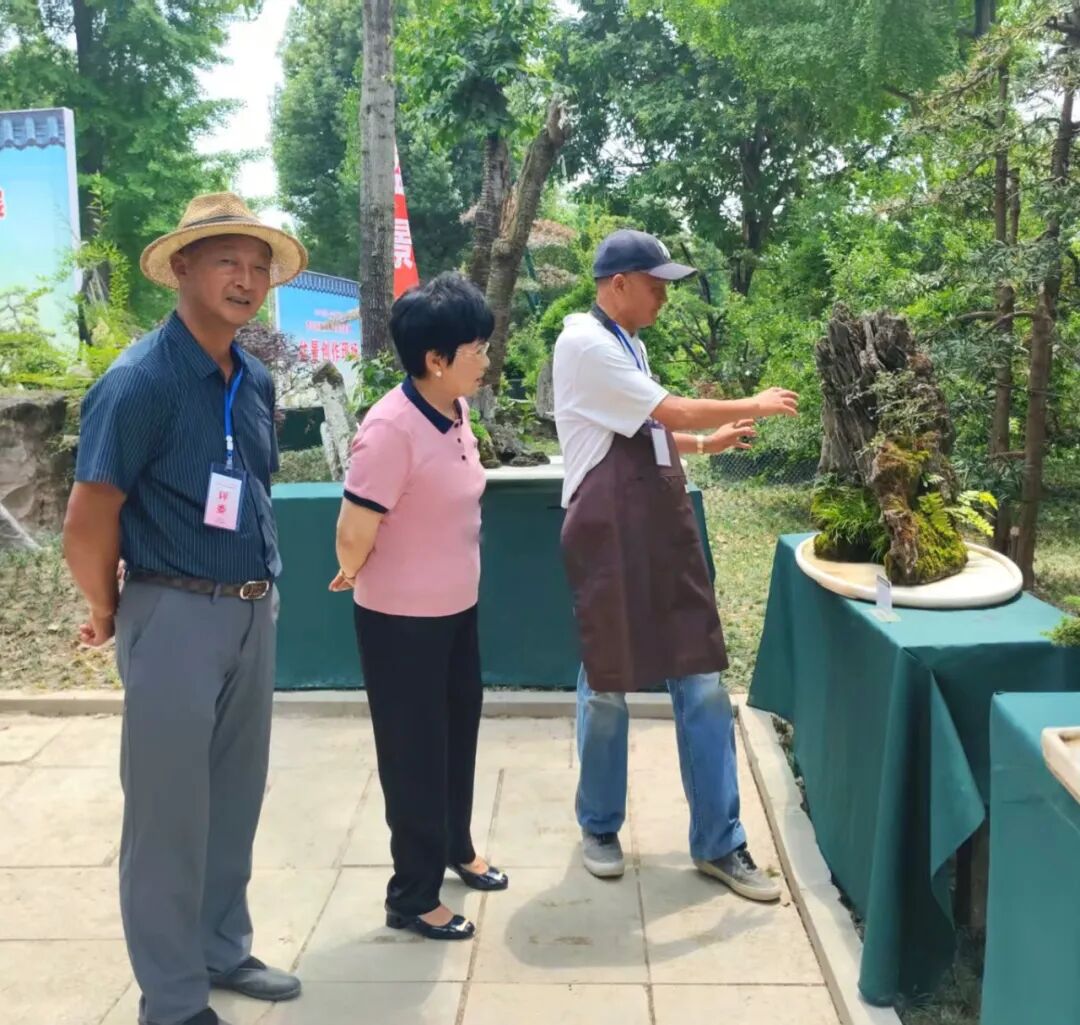 "李白诗意川派盆景艺术交流展"在江油隆重开幕(图23)