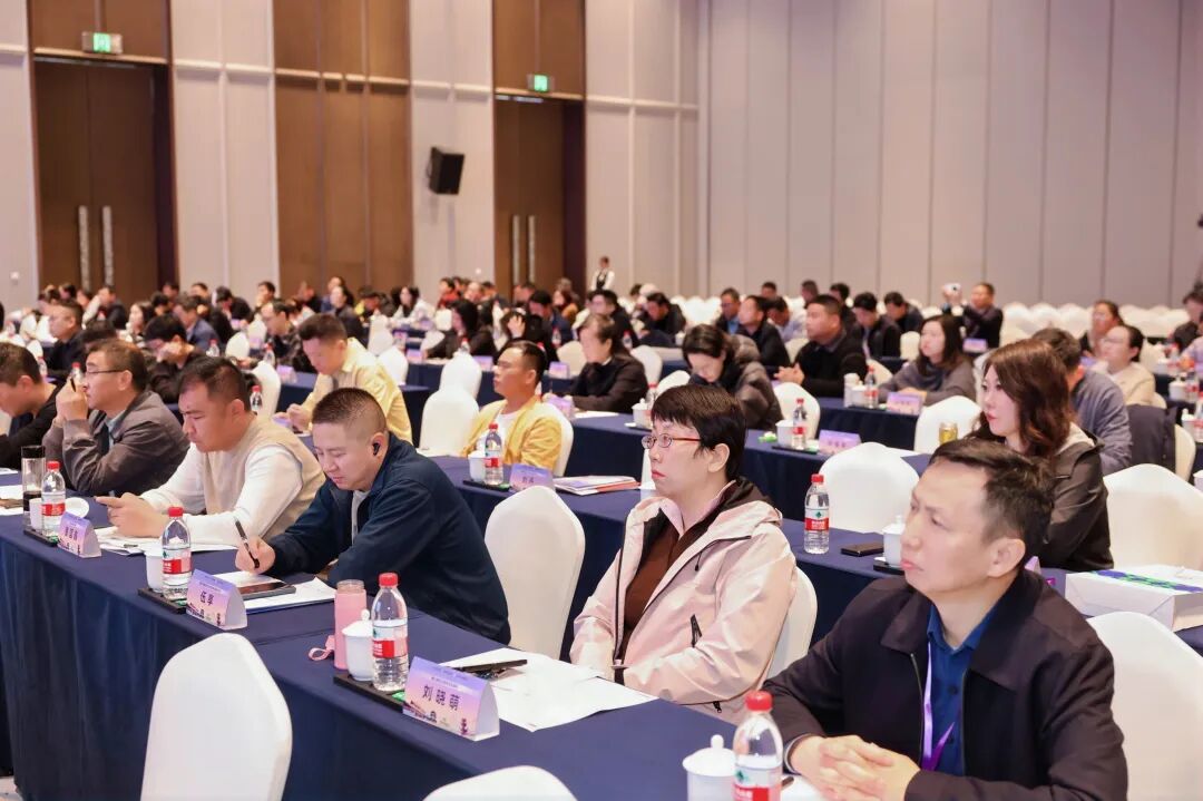 朗域视觉科技-朗域标识