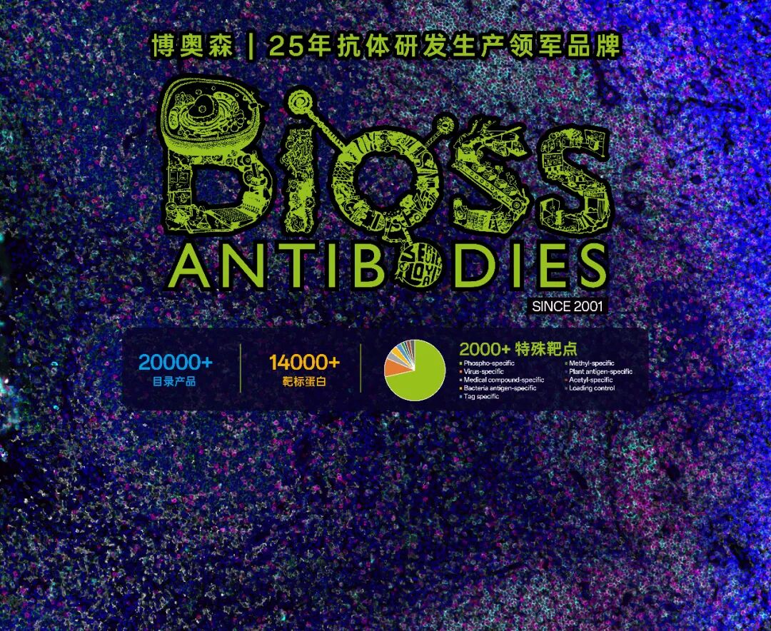 展会邀请 | 博奥森参展CSCB 2026 聚焦细胞生物学前沿，共话科研新突破