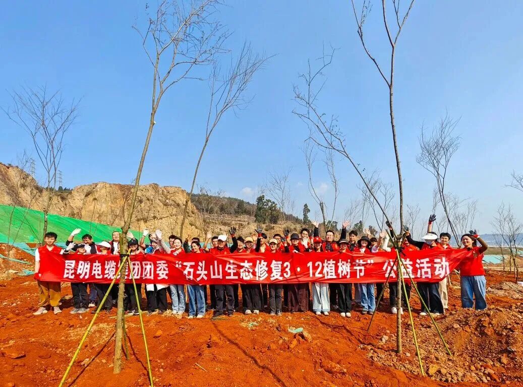“植”此青绿 共“树”未来——公司团员青年参加“石头山生态修复3•12植树节”公益活动.jpg