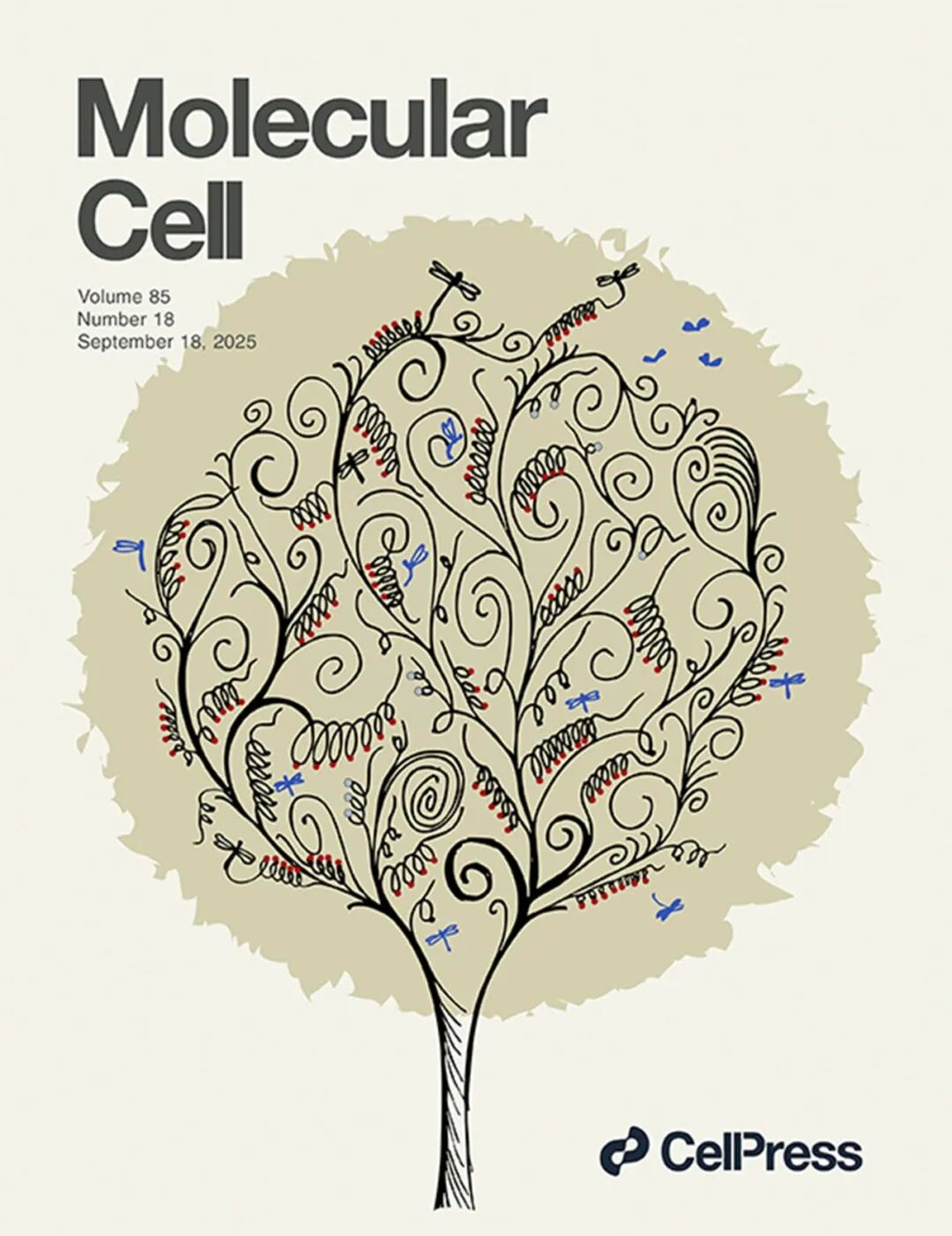 細胞凍存液選擇指南