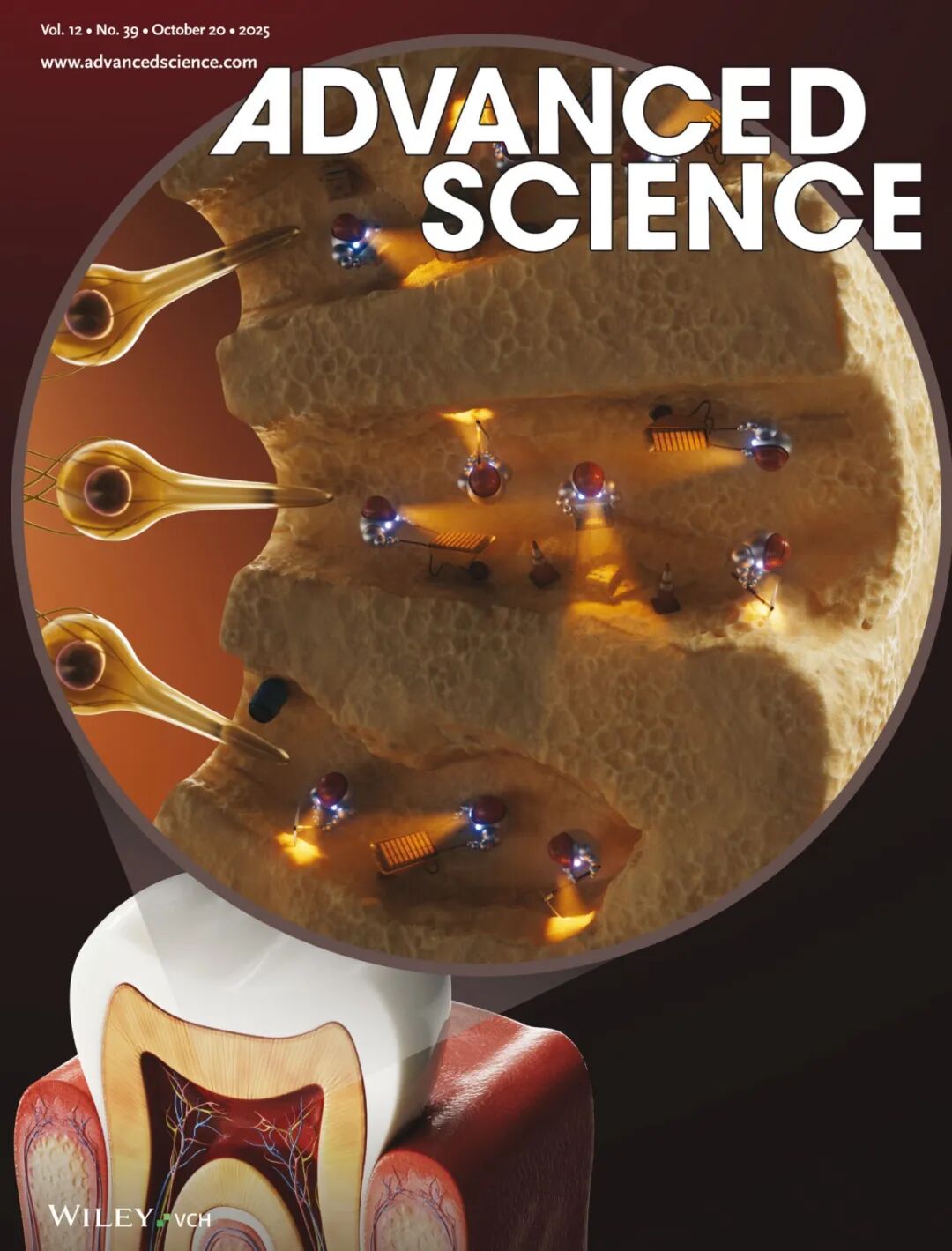 細胞凍存液選擇指南