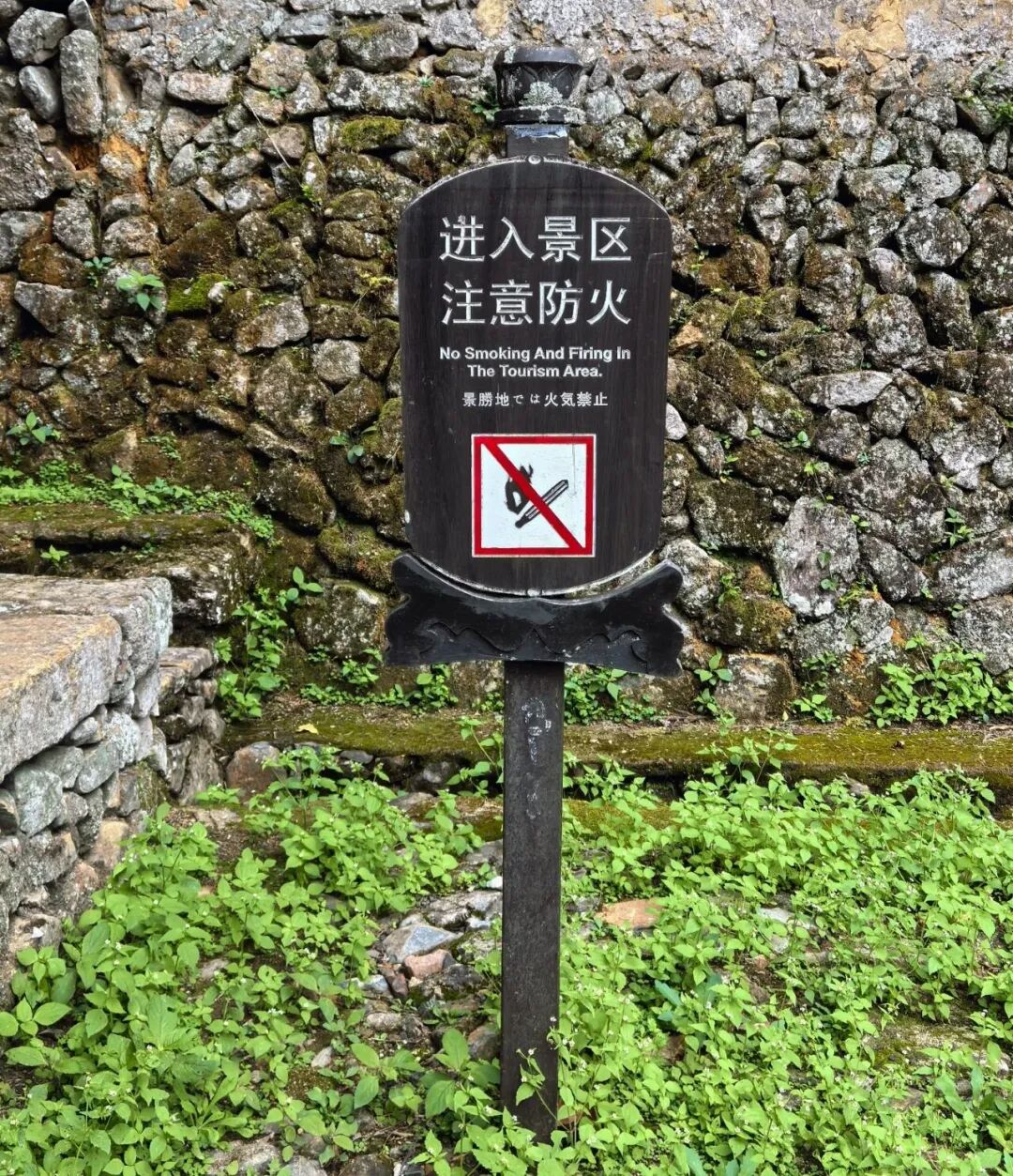 朗域视觉科技-朗域标识