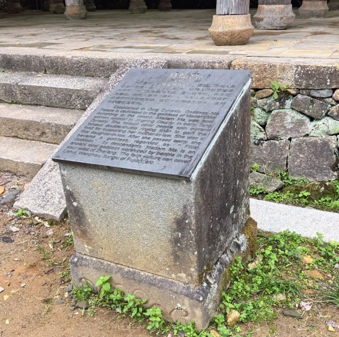 朗域视觉科技-朗域标识