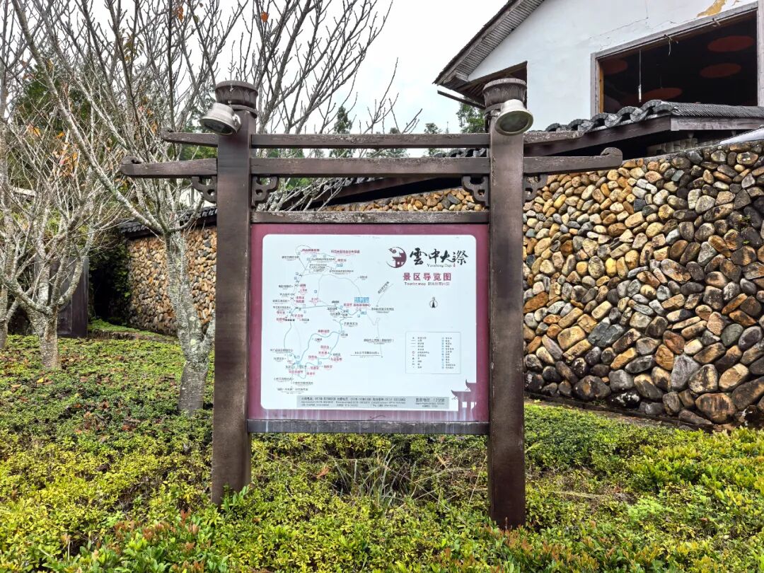 朗域视觉科技-朗域标识