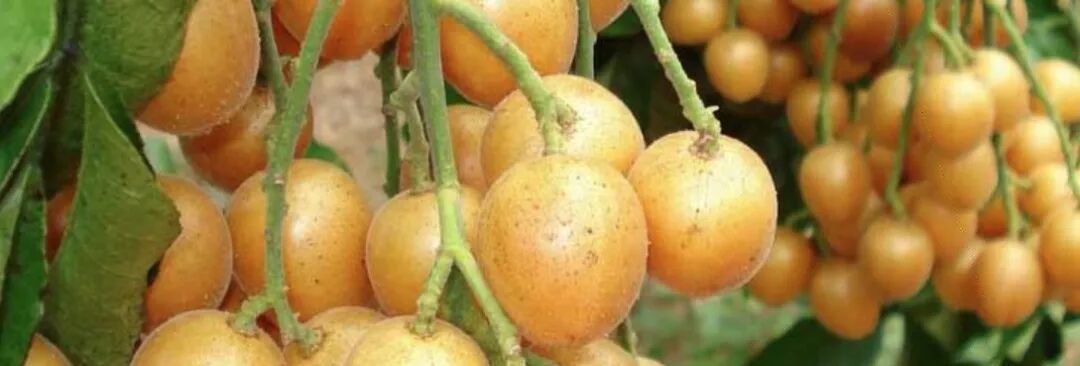 什么是面罩麻醉手术室最神秘的瞬间：扣上面罩秒睡的真相_https://www.jmylbn.com_新闻资讯_第10张