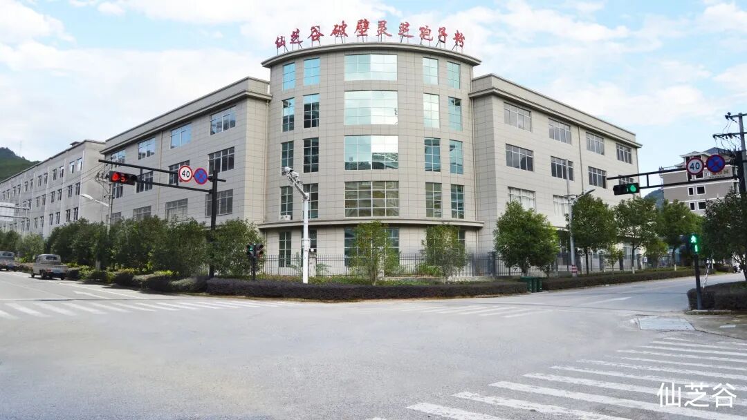丽水山耕臻品｜仙芝谷：以硬核实力，铸就道地灵芝标杆