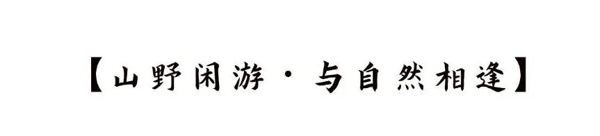 地产旅游中式感水墨国风公众号文章标题-2.jpg