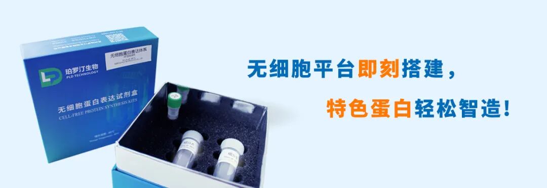 “不開外掛，也能有二硫鍵