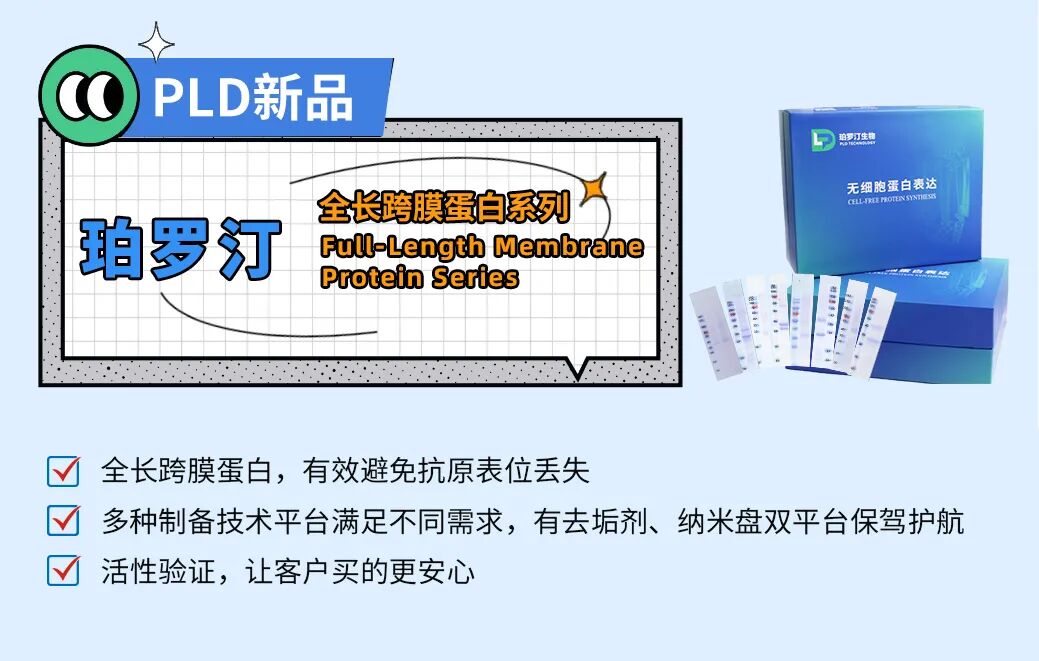 免費試用 | 全長跨膜STING1蛋白--破譯免疫，解鎖抗癌與自免疾病治療新密碼