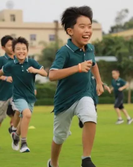 7-10年级研究型课题 | 用代码搭建人工智能的身体和思想-幼师课件网第16张图片