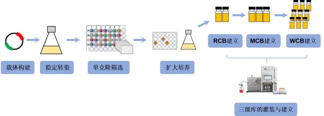 30分鐘自動(dòng)化灌裝1000管！ AbioFill V100開(kāi)放演示申請(qǐng)