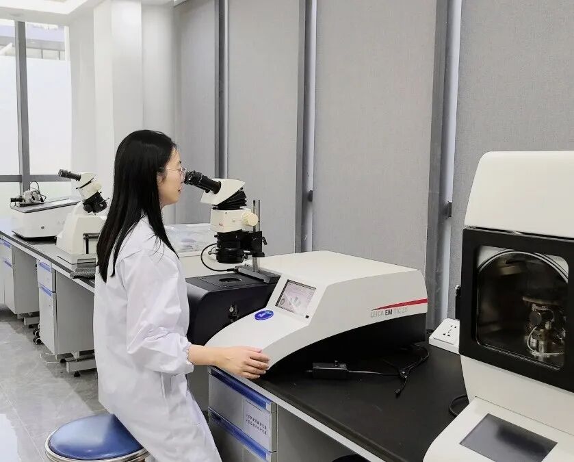 喜報！領拓儀器任飛霖金相佳作入選標樂全球微觀圖 前12