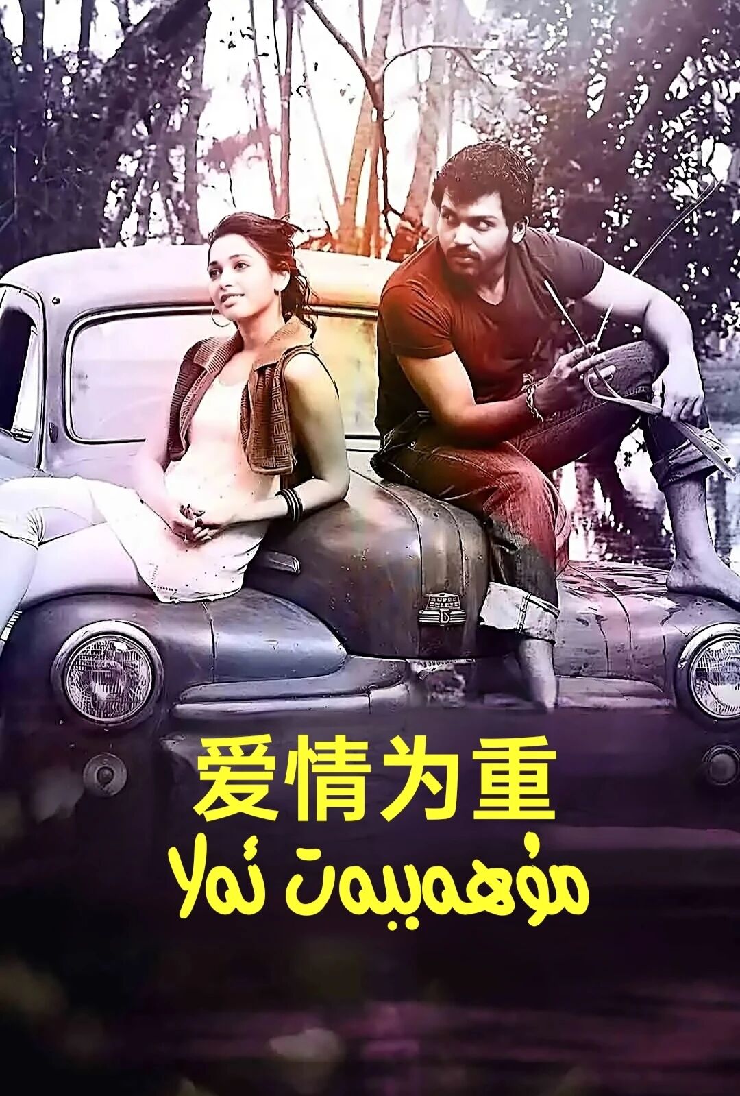 مۇھەببەت ئەلا