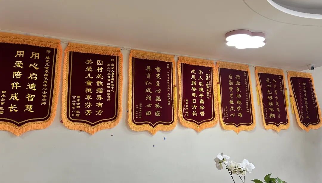 锦旗飘扬谢师恩，臻爱浇灌成长路|一面锦旗，十分心意