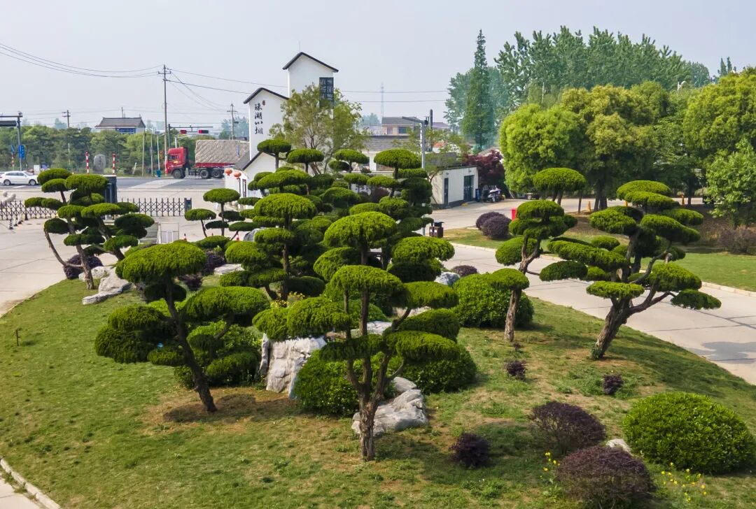 DJI_0089.jpg