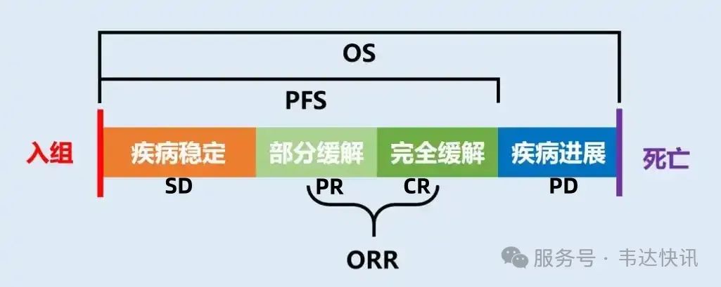 恩曲替尼和拉罗替尼的区别
