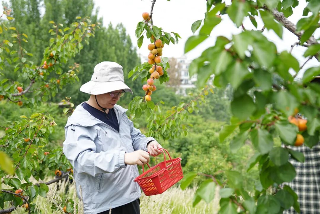 净美自然·益起同行｜兰格公司环保捡拾公益活动圆满举行