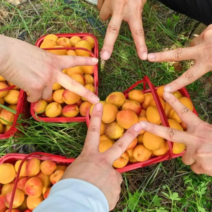 净美自然·益起同行｜兰格公司环保捡拾公益活动圆满举行