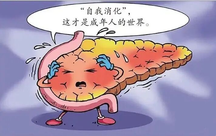 u=3301334192,1822805635&fm=253&fmt=auto&app=138&f=JPEG.webp_副本.jpg
