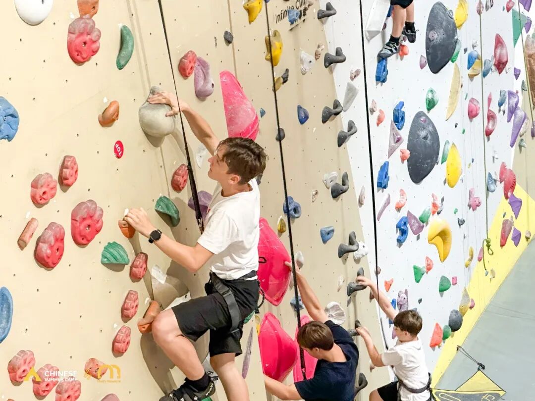 Chinese Summer Camp 2026 ： Culture, Food & Friendships Recap