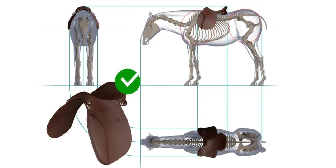 马术界的黑科技：热成像如何让马鞍调适更精准？