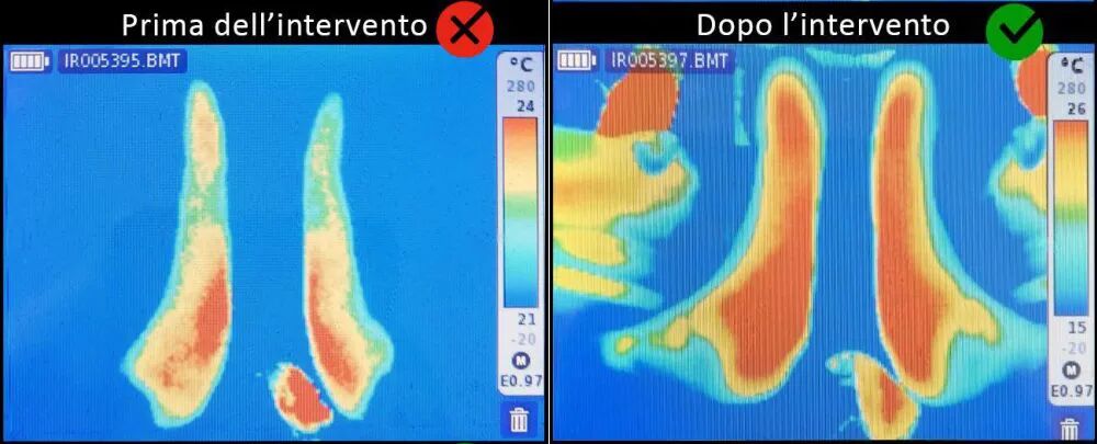 马术界的黑科技：热成像如何让马鞍调适更精准？