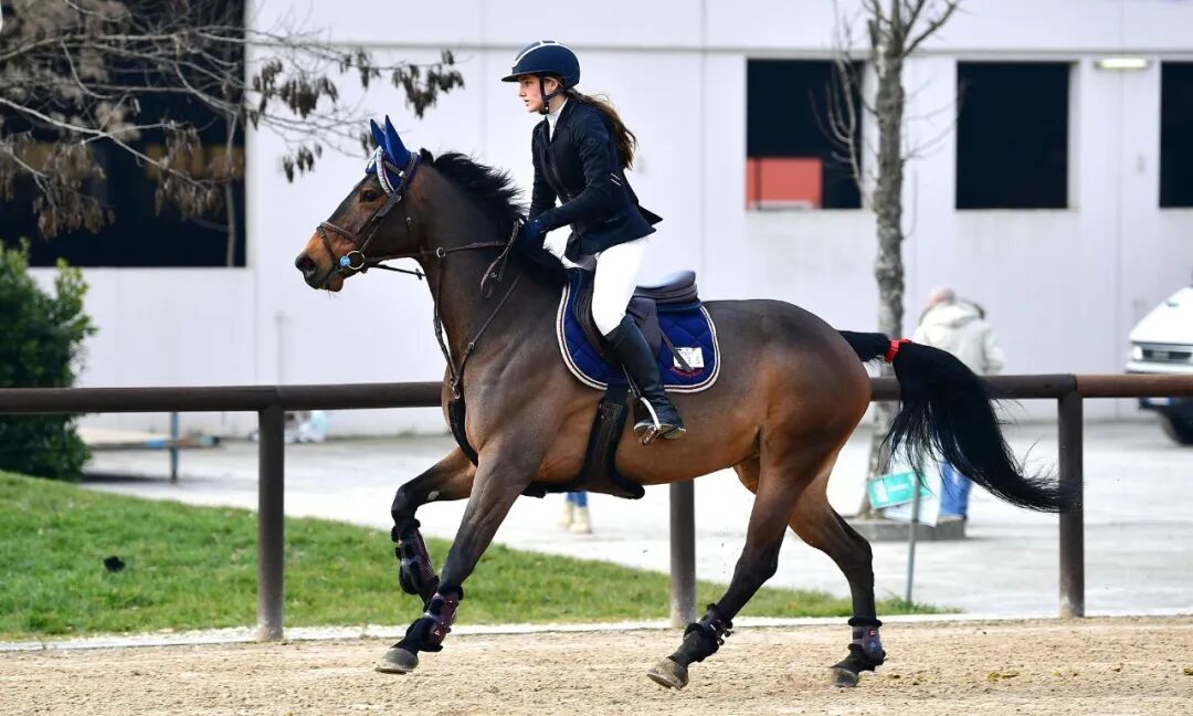 马术界的黑科技：热成像如何让马鞍调适更精准？