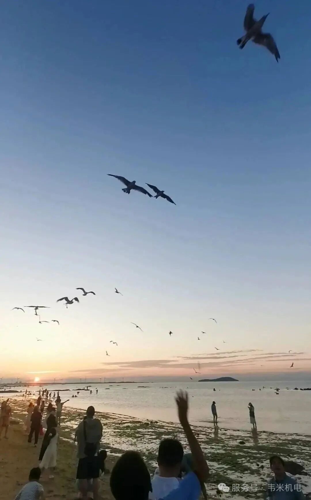 威海團(tuán)建 | 海浪、笑聲與團(tuán)隊(duì)凝聚力的四天三夜?