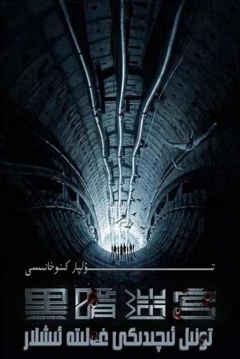 تونىل ئىچىدىكى غەلىتە ئىشلار ئۆز تىل ھەقسىز