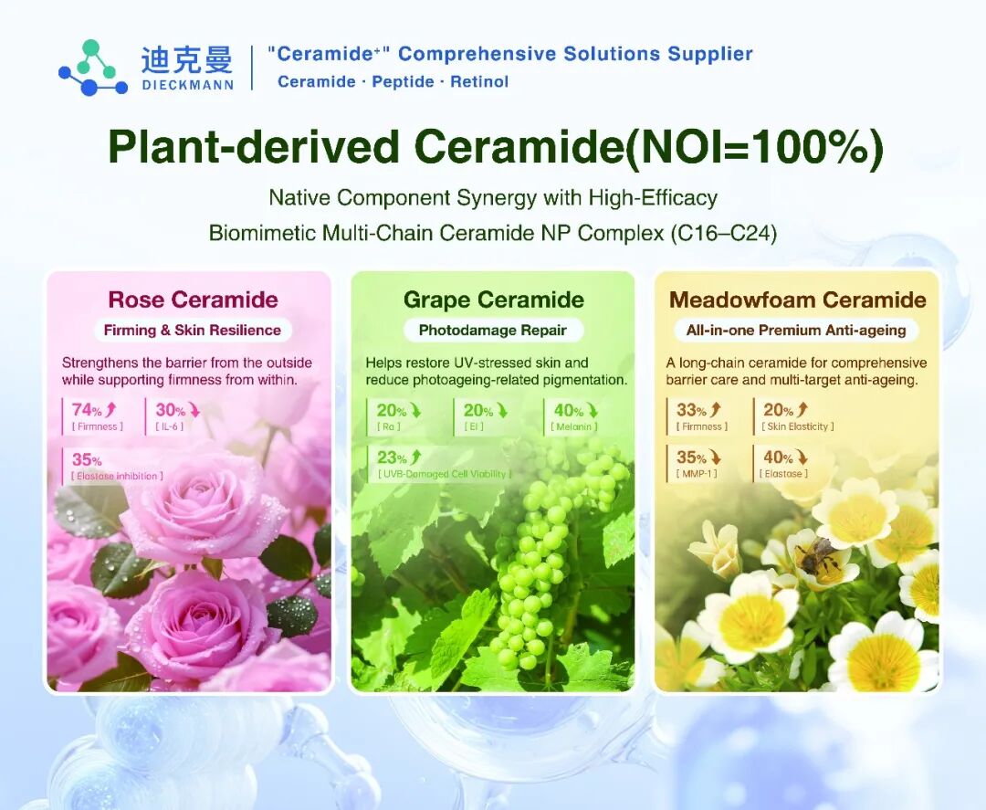 36th IFSCC | Dieckmann Presents Innovative Ceramides in Perth, Australia(图1)