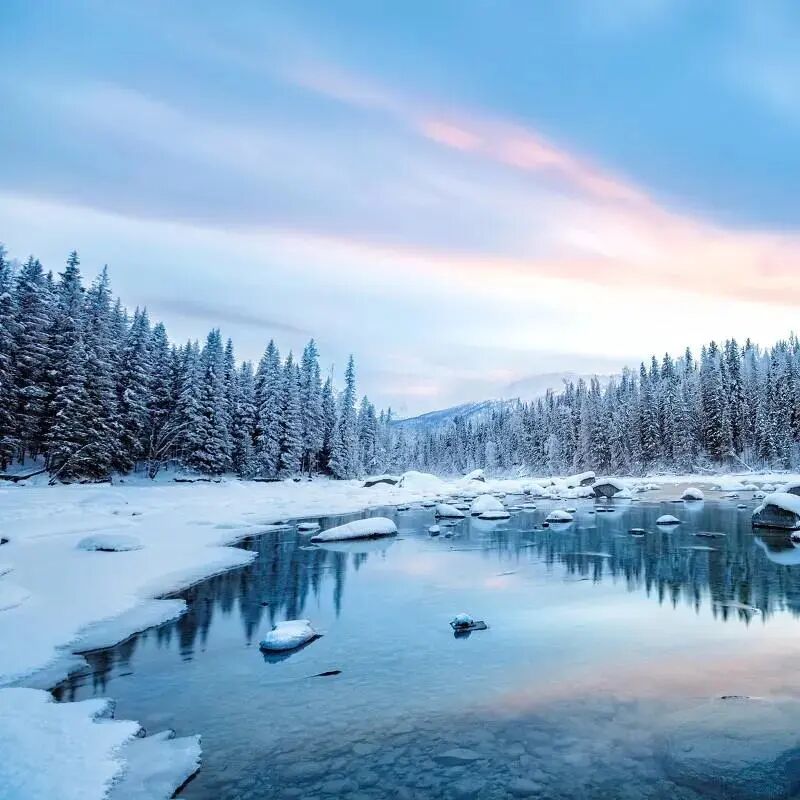 中国・新疆喀纳斯景区第十九届国际冬季摄影节即日起正式公开征集！ - 中国日报网