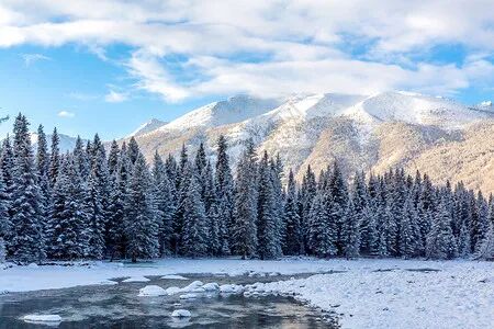 喀纳斯图片_喀纳斯素材_喀纳斯高清图片_摄图网图片下载