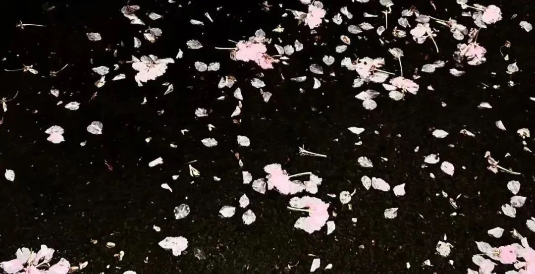 曹骏弹唱红尘客栈