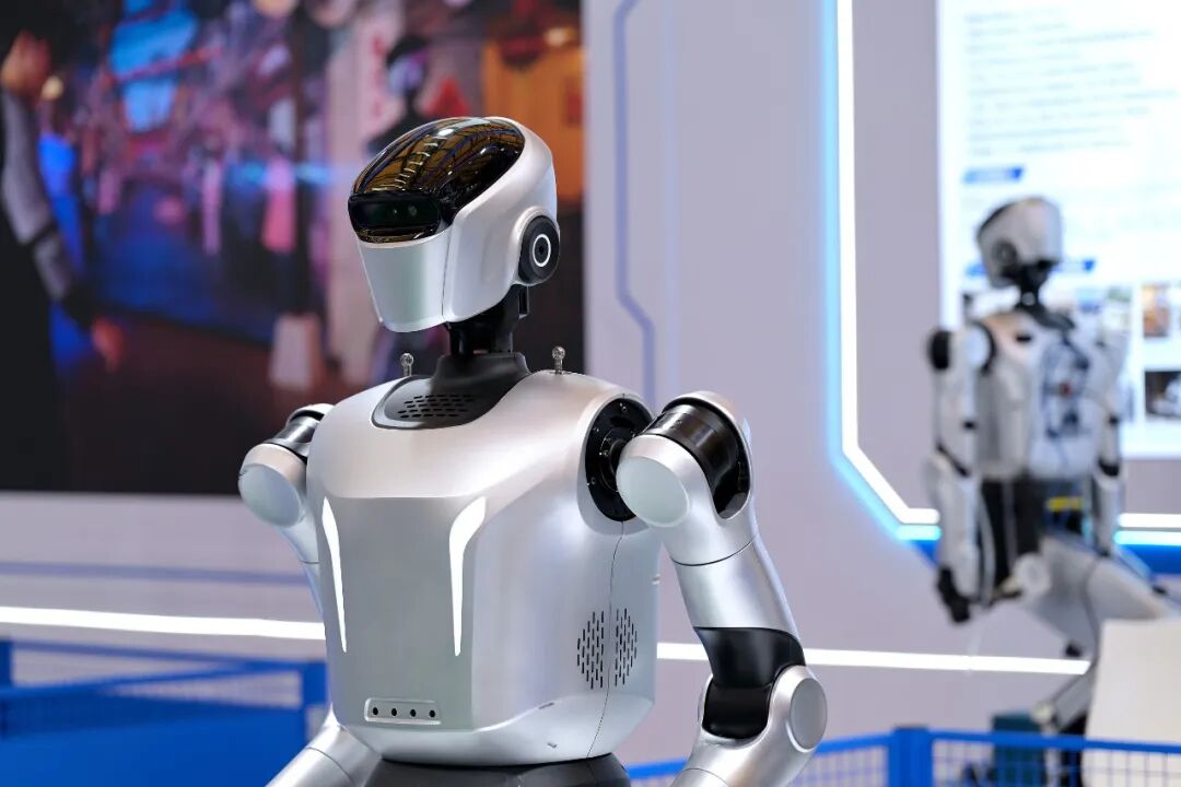 China's Humanoid Robot Bet ： Embodied AI & What Firms Should Do